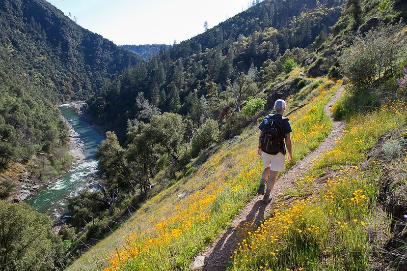 A hiker walks along a narrow dirt path with wildflowers on either side. The American River shows between mountains on the left.