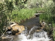 Water flows in a creek.