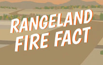 A graphic that reads rangeland fire facts.