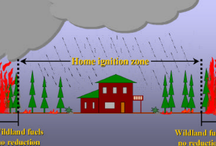 Home Ignition Zone Graphic showing house at center and flames on either side away from the house marked by zone lines