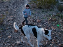 A child and a dog on a trail in nature.