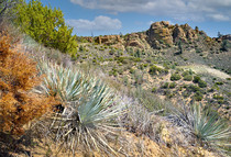 Clear Creek Area, dry grasses and shrubs dot the landscape against a backdrop of blue sky and rock outcrop