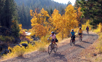 Bikers on the Bizz Johnson Trail in fall.