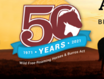 Celebrating 50 years of free roaming wild horse and burro act.