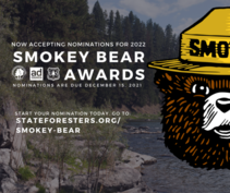 A graphic promoting the Smoky the Bear award. 