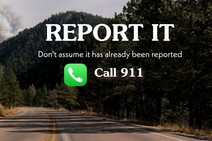 A graphic that reads: Report it, don't assume it has already been reported. Call 911.  