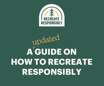 A graphic that reads: A updated guide on how to recreate responsibly.