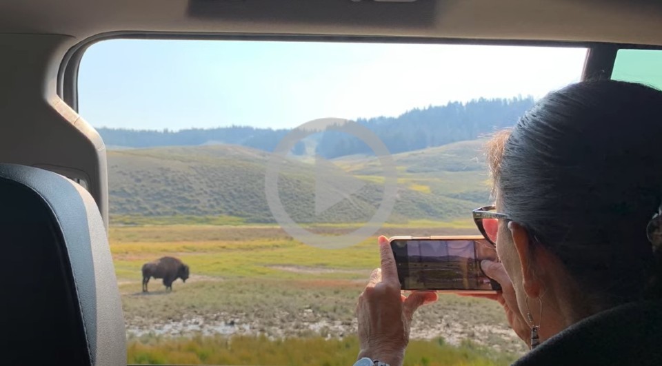 Secretary Haaland looks out the window at a bison