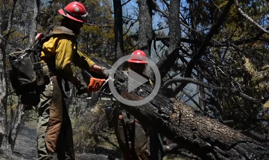 Two fire fighters cut a log