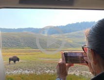Secretary of the Interior in the back of a vehicle taking a photo of a bison.