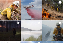 A photomontage of BLM firefighting activates. 