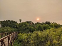 Sun shines dimly through a layer of smoke from wildfires. 