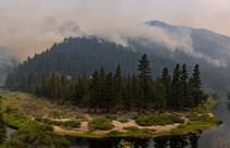 Smoke rising above a forest from the Dixy Fire. 
