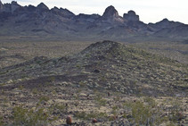 Landscape view of the Turtle Mountains Wilderness, creosote bush-bur sage, palo verde-cactus shrub and rock formations. 
