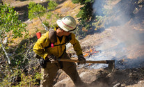 Fire fighter using hand tool on low burning fire line, photo by BLM