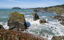 A photo of the coast and rocks of the Trinidad head.