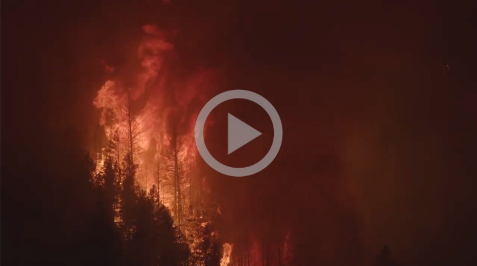 A wildfire burns through a forest at night