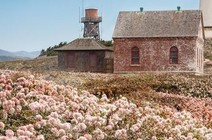 A light house and other structures with wildflowers.