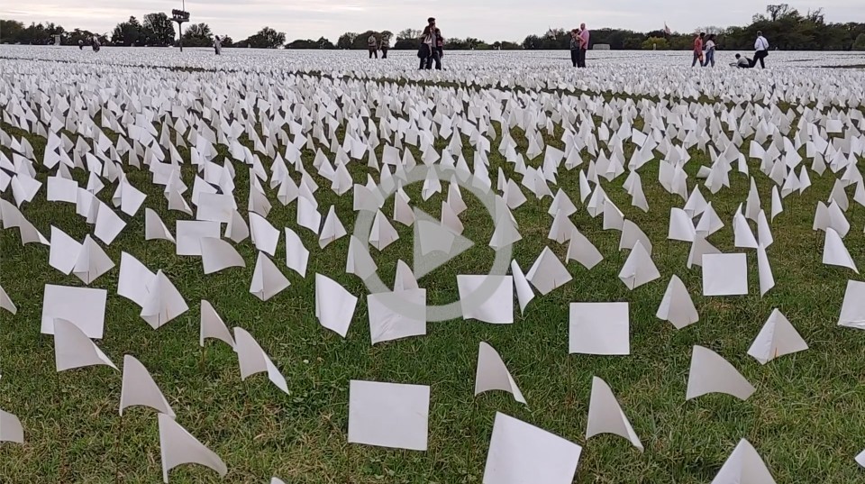 A series of small white flags line a grassy field