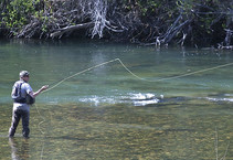 Fly fisherman on the Trinity Wild and Scenic River