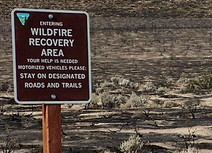 Wildfire Restoration sign stand on charred landscape with starkly contrasted trails. 