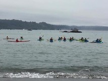 Over a dozen colorful kayaks float out in lightly choppy waters, in the distance tree covered land meets ocean. 