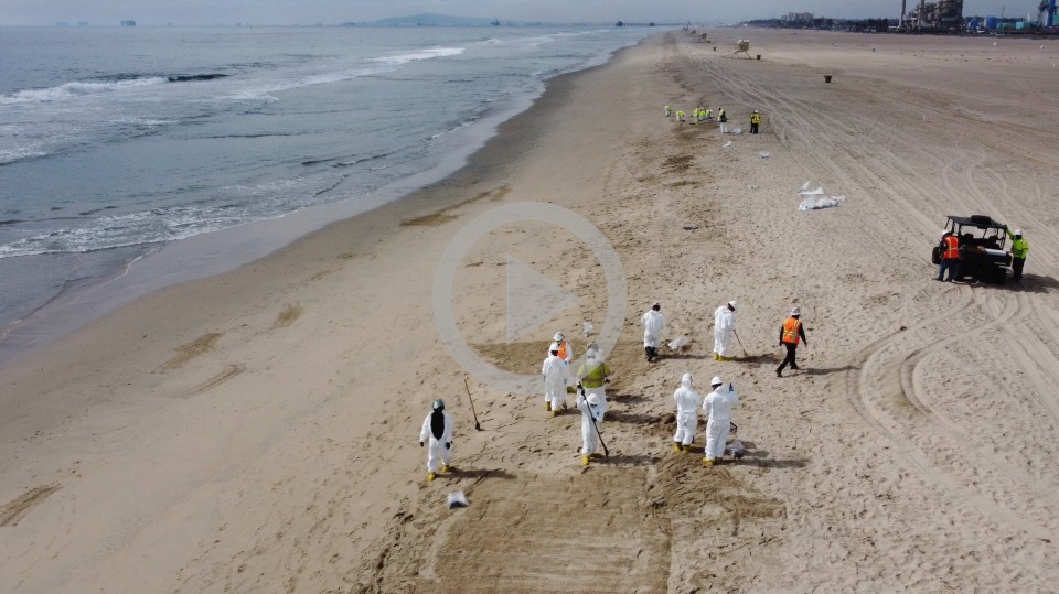 People walking across a beach during a hazardous cleanup