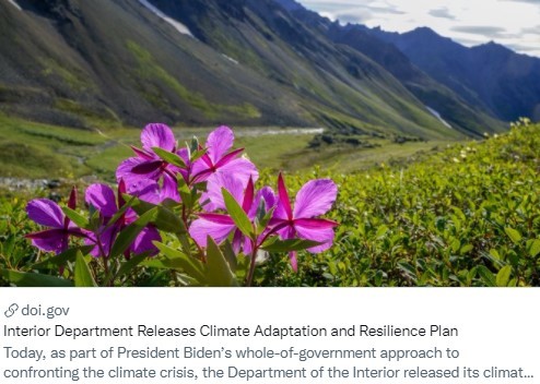 A press release photo cover for climate change resilience plan. The photo is of a purple flower growing in a valley surrounded by mountains