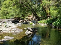 Image of the beautiful Forks of Butte Creek 