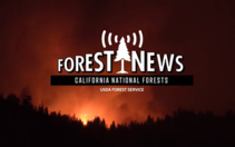 Forest news opening page.