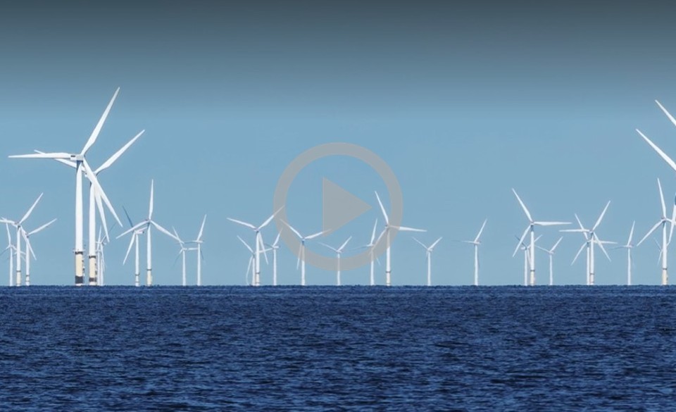 Dozens of offshore wind turbines in the ocean
