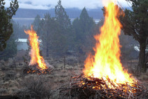 Piles of wood burning in a controlled fire.