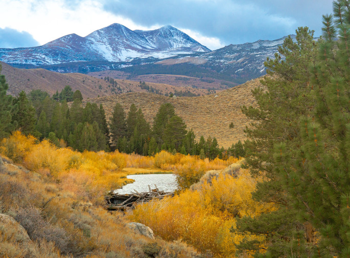 A fall landscape with a snow-dusted mountain in the distance.