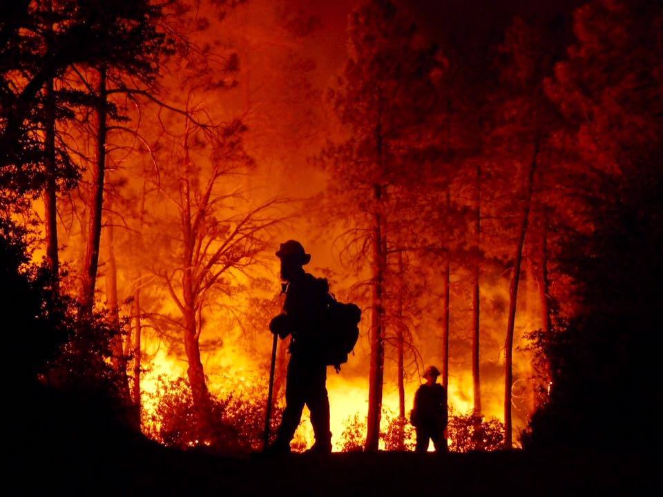 Silhouetted wildland firefighters. By USDA Forest Service.