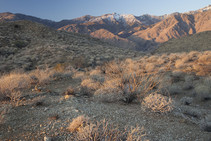 View of mountains reaching an elevation of 10,834 feet rising from the desert floor.  
