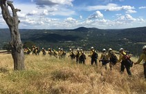 Folsom Lake Veterans crew members walk in their fire gear in a line through tall dry grass with mountain background and blue skies.