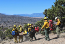 Firefighters walking down a hill with their gear.