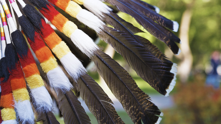 Feather plume from Native American Regalia.