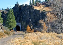 Bizz Johnson trail leading to the tunnel inserted into a rock face with trees of various sizes in view. 