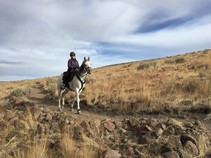 A person riding a horse on a trail.