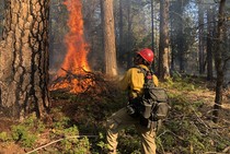 A firefighter standing next to a pile of burning branches.