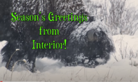 Seasons greetings from the Interior