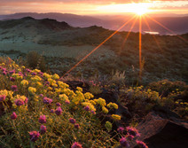 Sunset over a desert valley with wildflowers.