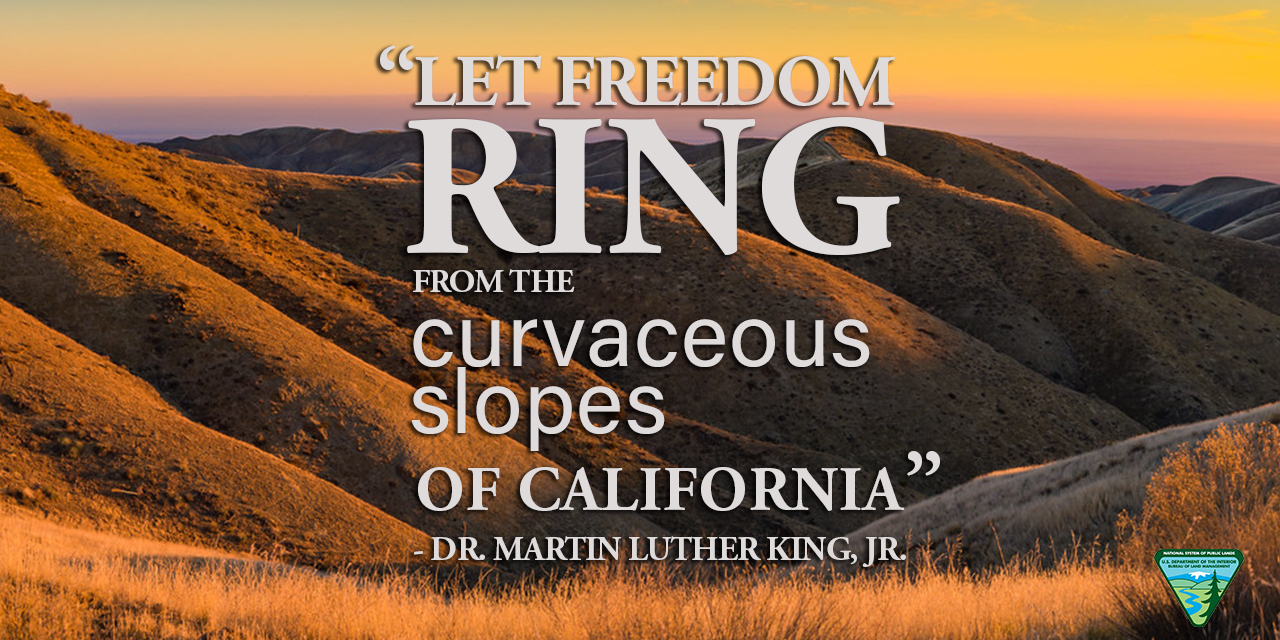 Let freedom ring from the curvaceous slopes of California - Dr. Martin Luther King, Jr.