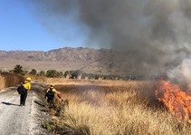 Fire crews attending to a prescribed burn in a field.