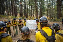 Firefighters huddle around a map in a forest.