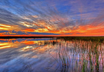 Everglades at sunset