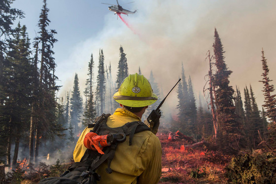 Firefighter on radio during retardant drop at the Rice Ridge Fire in the Lolo National Forest. Photo by Kari Greer, Forest Service.