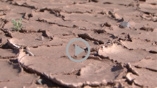 Dried ground shows effect of drought