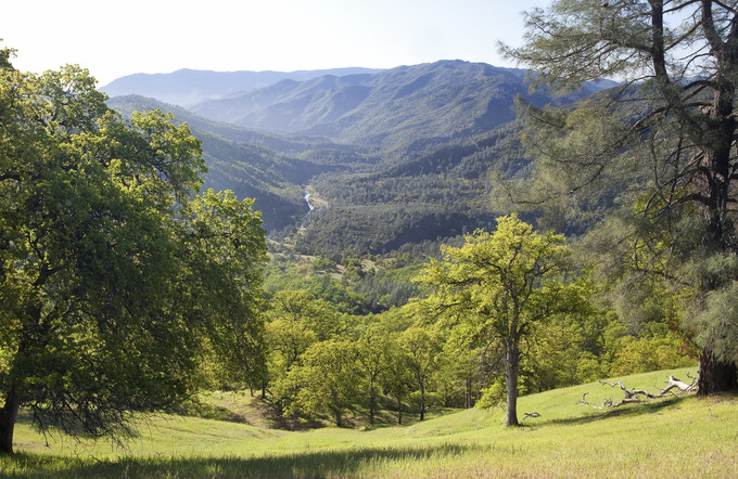 A green, lush mountain valley with oak trees.